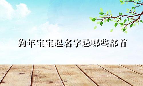 狗年宝宝起名字忌哪些部首