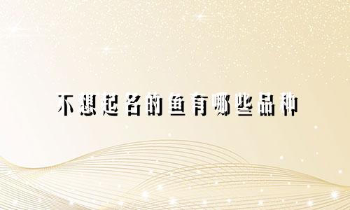 不想起名的鱼有哪些品种