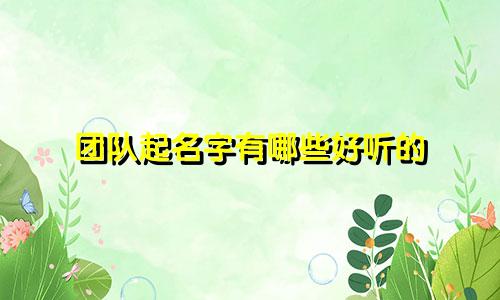 团队起名字有哪些好听的