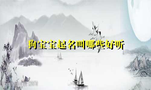 狗宝宝起名叫哪些好听