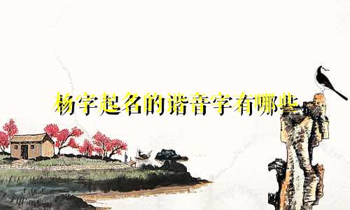 杨字起名的谐音字有哪些