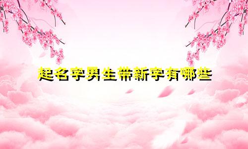 起名字男生带新字有哪些
