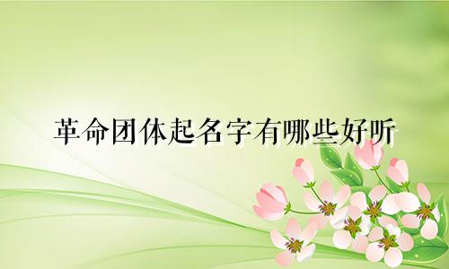 革命团体起名字有哪些好听