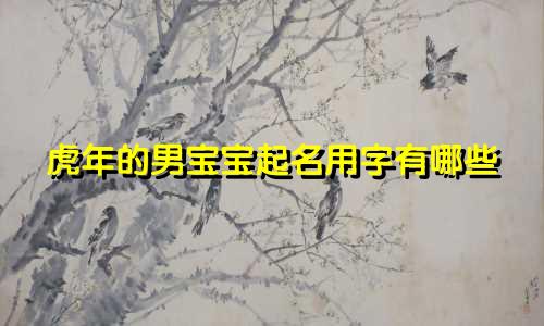 虎年的男宝宝起名用字有哪些