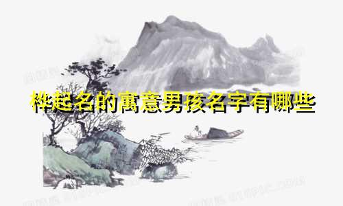 桦起名的寓意男孩名字有哪些