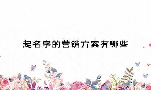 起名字的营销方案有哪些