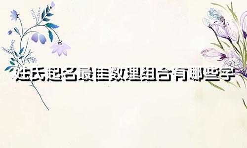 姓氏起名最佳数理组合有哪些字