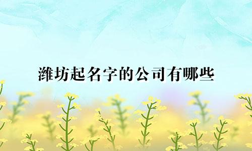 潍坊起名字的公司有哪些