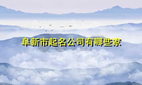 阜新市起名公司有哪些家