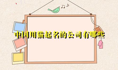 中国用猫起名的公司有哪些