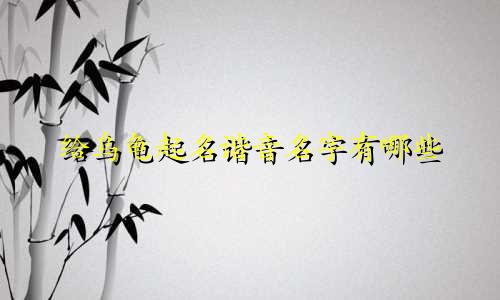 给乌龟起名谐音名字有哪些