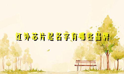 红外芯片起名字有哪些品牌