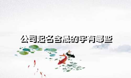 公司起名含晟的字有哪些
