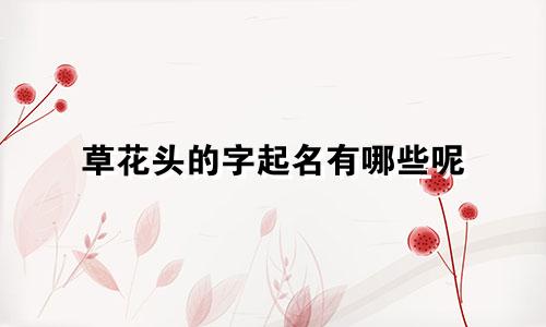 草花头的字起名有哪些呢