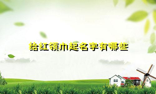 给红领巾起名字有哪些