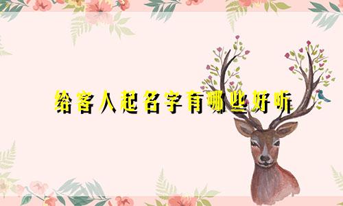 给客人起名字有哪些好听