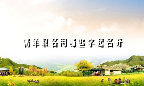 属羊取名用哪些字起名好
