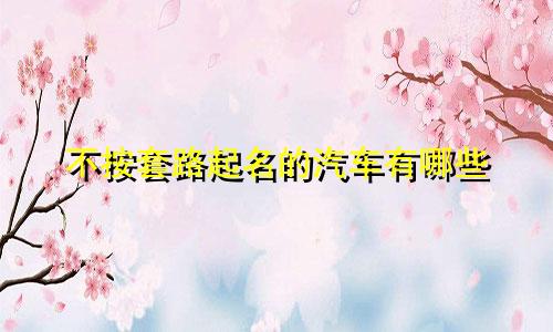 不按套路起名的汽车有哪些