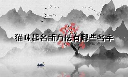 猫咪起名新方法有哪些名字