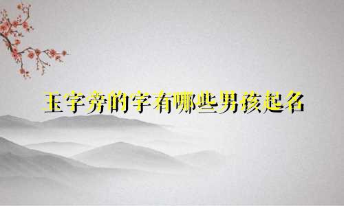 玉字旁的字有哪些男孩起名