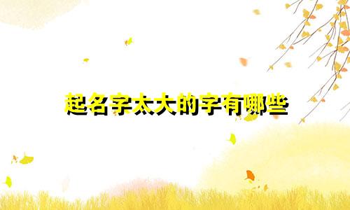 起名字太大的字有哪些