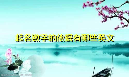 起名数字的依据有哪些英文