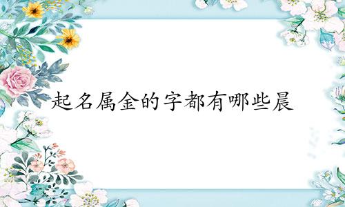 起名属金的字都有哪些晨