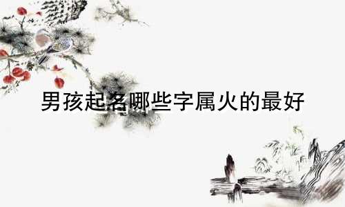 男孩起名哪些字属火的最好
