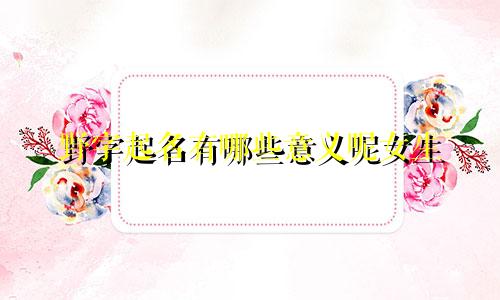 野字起名有哪些意义呢女生