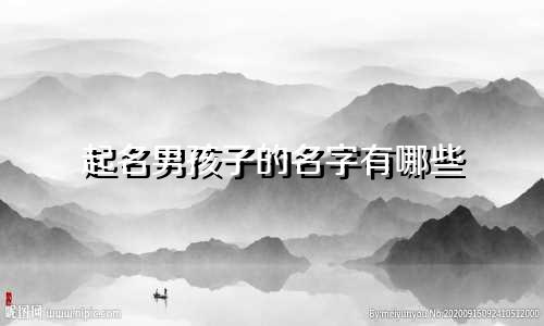 起名男孩子的名字有哪些
