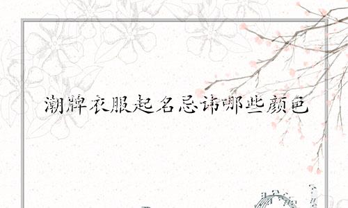 潮牌衣服起名忌讳哪些颜色