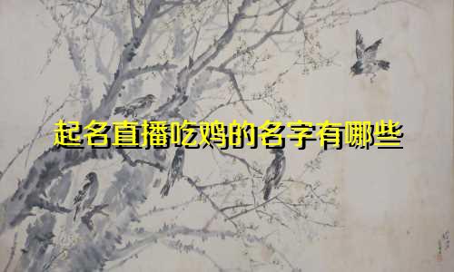 起名直播吃鸡的名字有哪些