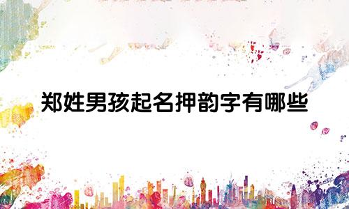 郑姓男孩起名押韵字有哪些