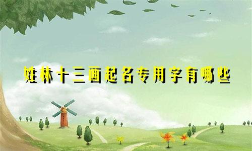 姓林十三画起名专用字有哪些