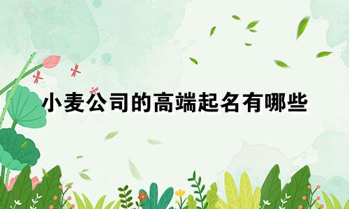 小麦公司的高端起名有哪些