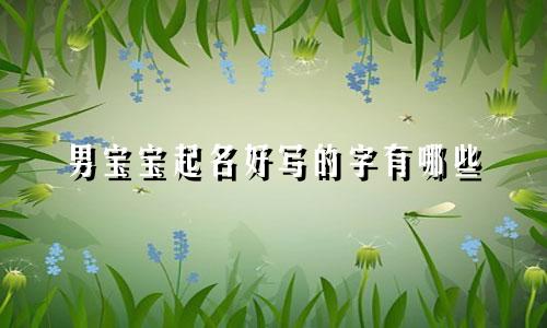 男宝宝起名好写的字有哪些
