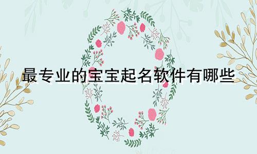 最专业的宝宝起名软件有哪些