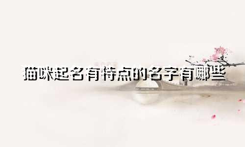 猫咪起名有特点的名字有哪些