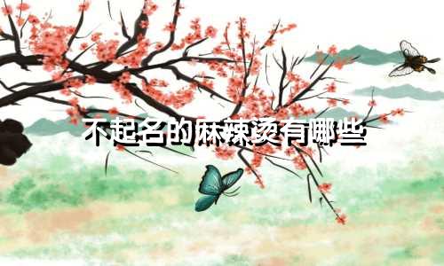 不起名的麻辣烫有哪些