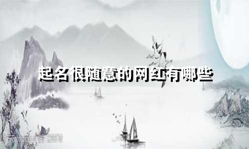起名很随意的网红有哪些