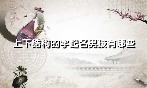 上下结构的字起名男孩有哪些