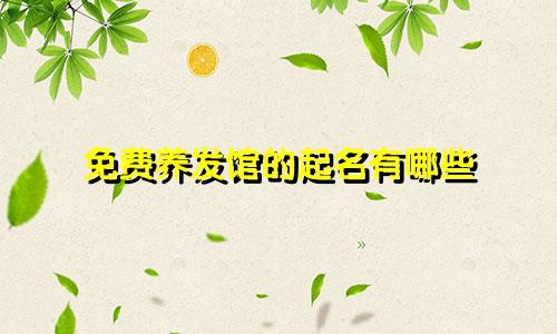 免费养发馆的起名有哪些