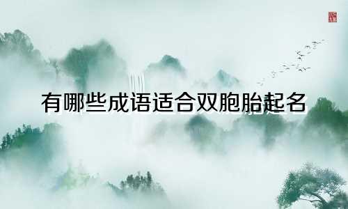 有哪些成语适合双胞胎起名