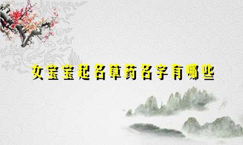 女宝宝起名草药名字有哪些