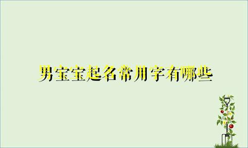男宝宝起名常用字有哪些