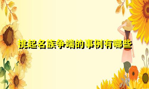 挑起名族争端的事例有哪些