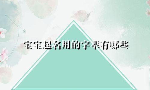 宝宝起名用的字辈有哪些