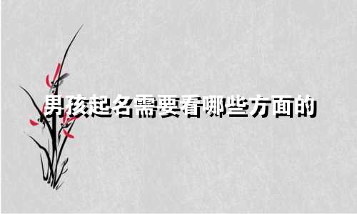 男孩起名需要看哪些方面的