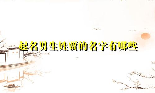 起名男生姓贾的名字有哪些
