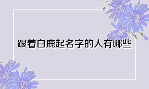 跟着白鹿起名字的人有哪些